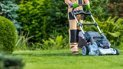 regular Garden Maintenance